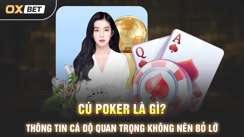 Cú Poker là gì, thông tin cá độ quan trọng