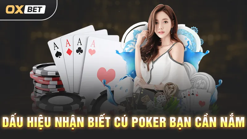 Cú Poker, thông tin cá độ quan trọng