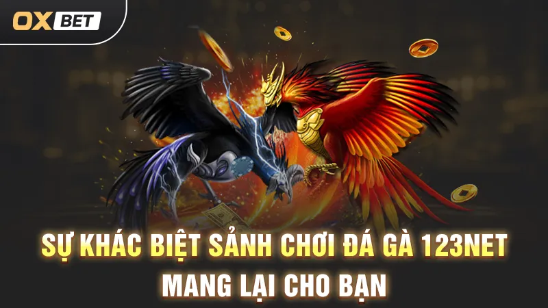 Đá gà 123 Net, trải nghiệm trực tiếp tại OXBET