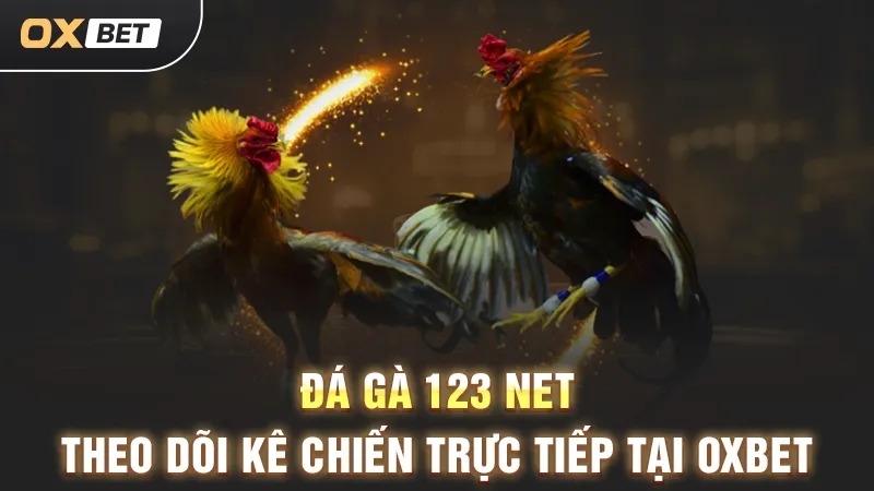 Đá gà 123 Net, theo dõi kê chiến trực tiếp tại OXBET