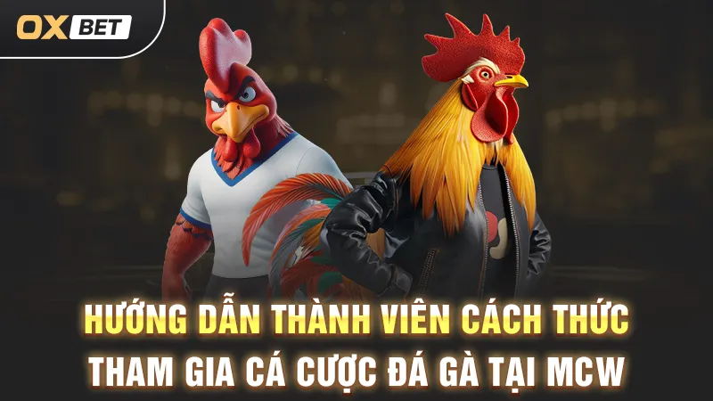 Đặt cược đá gà MCW tại OXBET