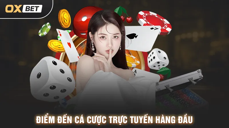 Nhà cái C54, cá cược uy tín tại OXBET