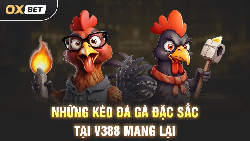 Dự thưởng đá gà V388 trực tiếp tại OXBET